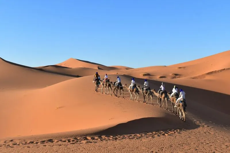 Take a camel ride through Morocco’s beautiful deserts with our camel trekking tours